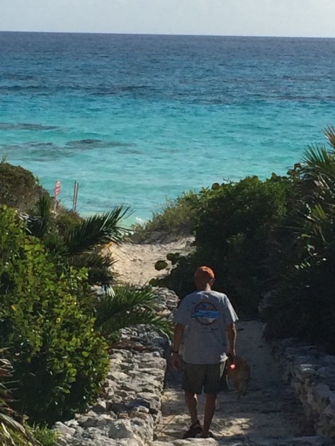 /home/wpcom/public_html/wp-content/blogs.dir/af9/77857396
/files/2014/12/img_3942.jpg